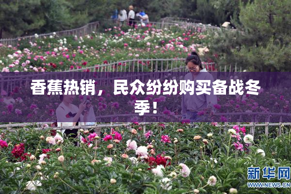 香蕉热销，民众纷纷购买备战冬季！