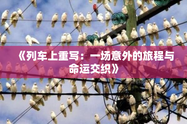 《列车上重写：一场意外的旅程与命运交织》