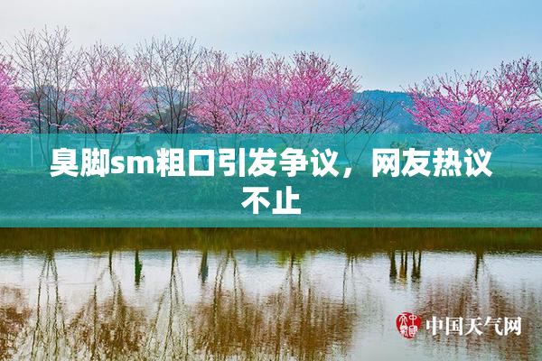 臭脚sm粗口引发争议，网友热议不止
