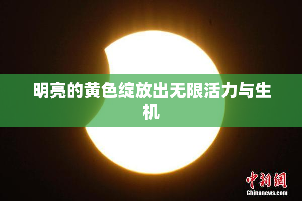 明亮的黄色绽放出无限活力与生机