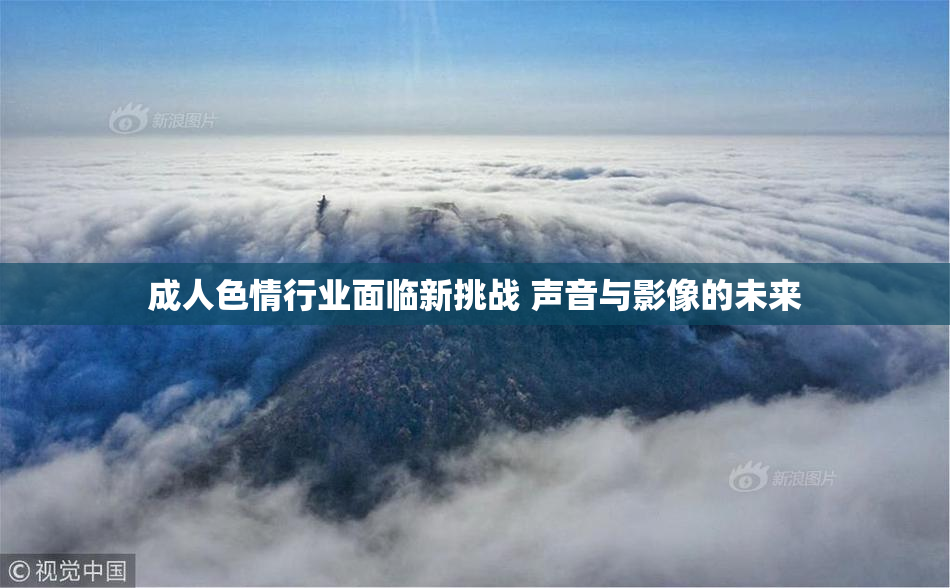 成人色情行业面临新挑战 声音与影像的未来