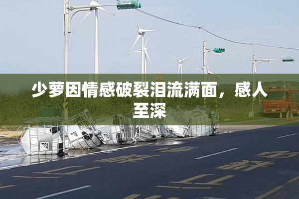 少萝因情感破裂泪流满面，感人至深