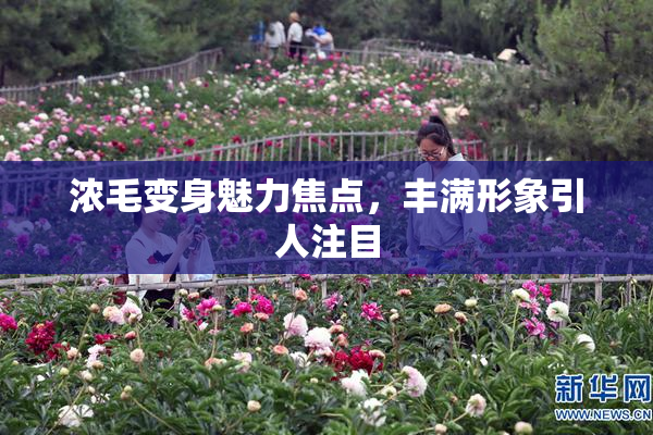 浓毛变身魅力焦点，丰满形象引人注目