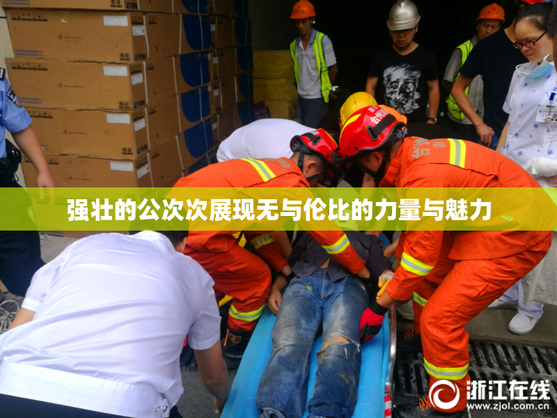 强壮的公次次展现无与伦比的力量与魅力