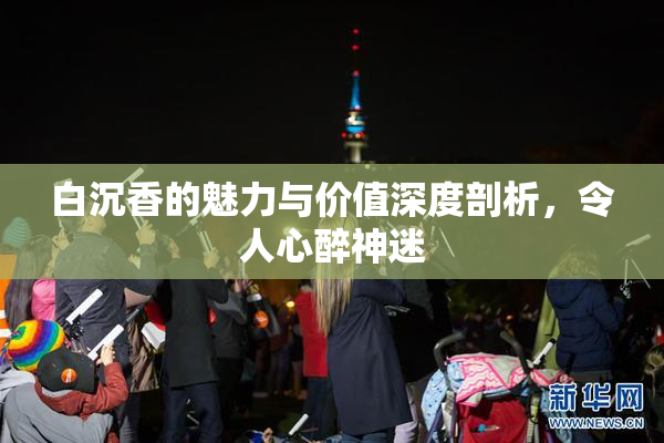 白沉香的魅力与价值深度剖析，令人心醉神迷