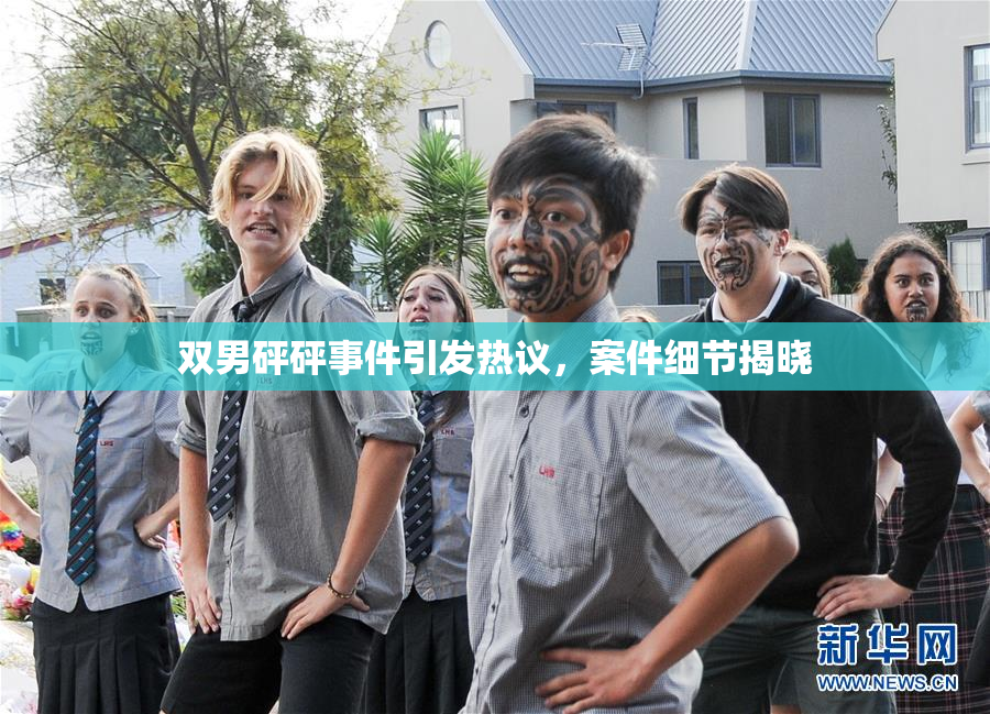 双男砰砰事件引发热议，案件细节揭晓