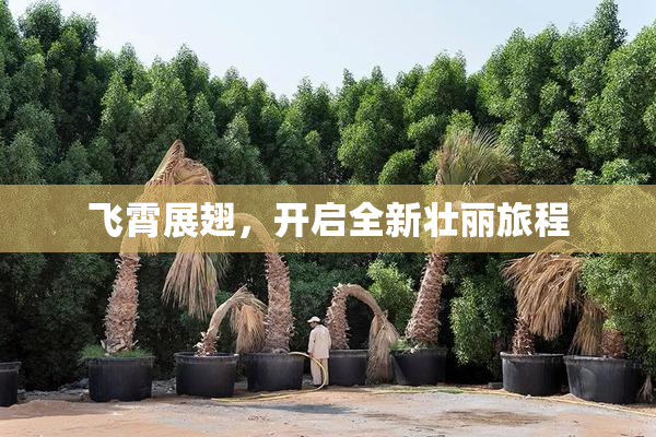 飞霄展翅，开启全新壮丽旅程
