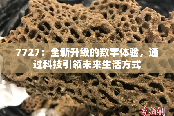 7727：全新升级的数字体验，通过科技引领未来生活方式