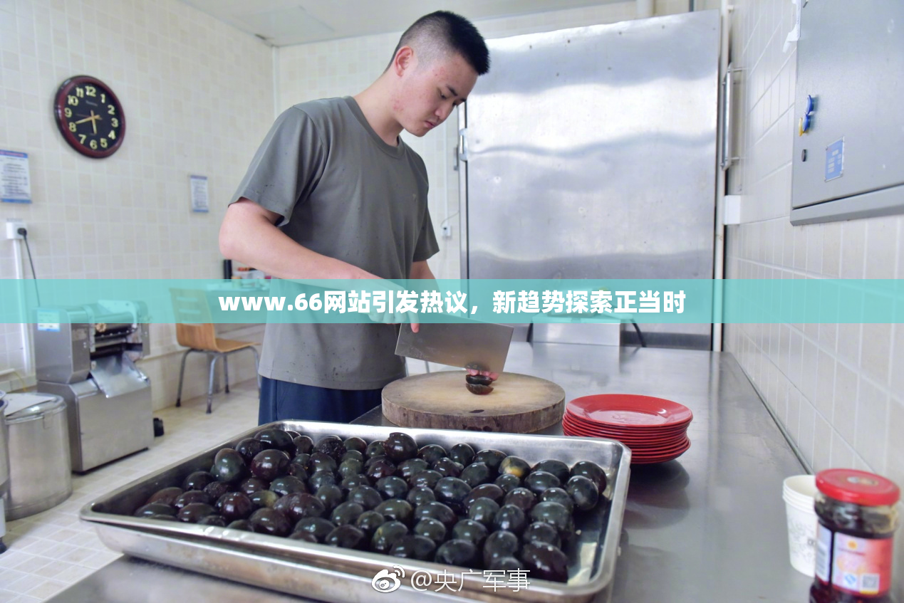 www.66网站引发热议，新趋势探索正当时