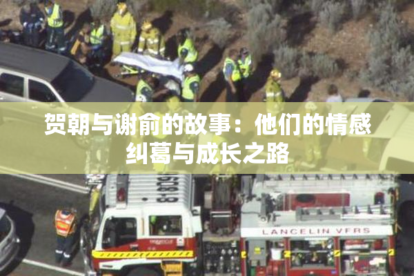 贺朝与谢俞的故事：他们的情感纠葛与成长之路
