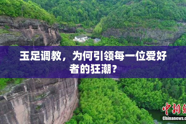 玉足调教，为何引领每一位爱好者的狂潮？