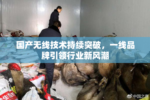 国产无线技术持续突破，一线品牌引领行业新风潮