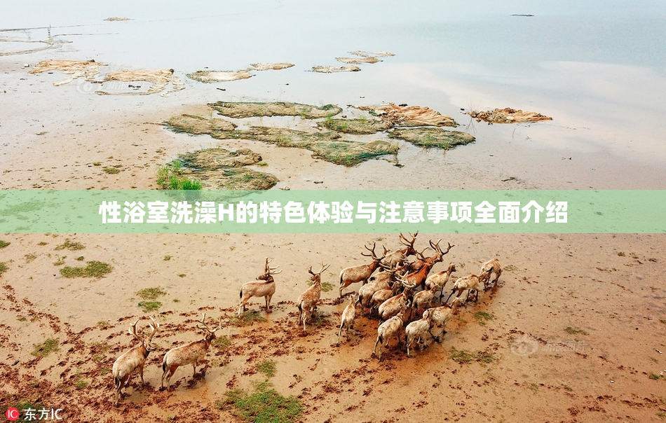 性浴室洗澡H的特色体验与注意事项全面介绍