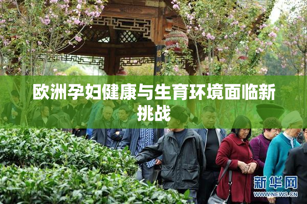 欧洲孕妇健康与生育环境面临新挑战