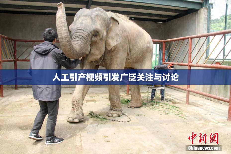 人工引产视频引发广泛关注与讨论