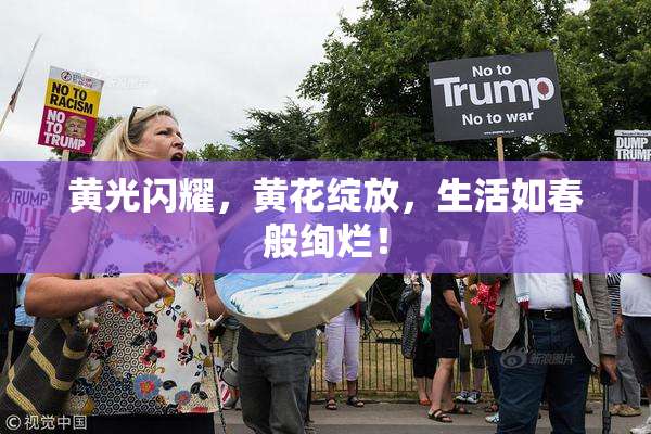黄光闪耀，黄花绽放，生活如春般绚烂！