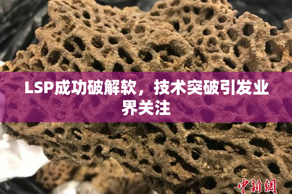LSP成功破解软，技术突破引发业界关注