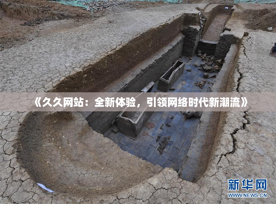 《久久网站：全新体验，引领网络时代新潮流》