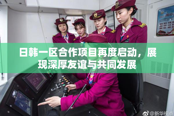 日韩一区合作项目再度启动，展现深厚友谊与共同发展