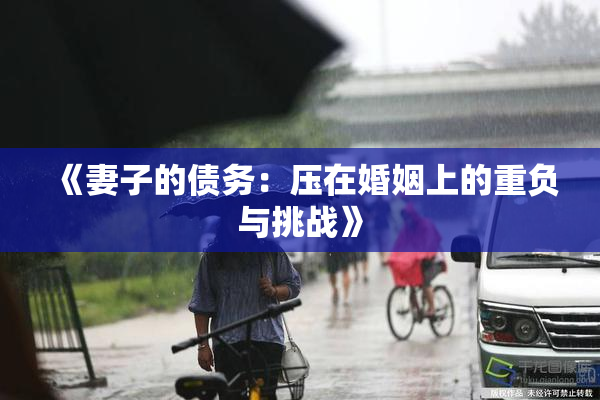 《妻子的债务：压在婚姻上的重负与挑战》