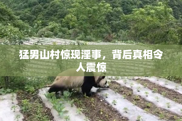 猛男山村惊现淫事，背后真相令人震惊