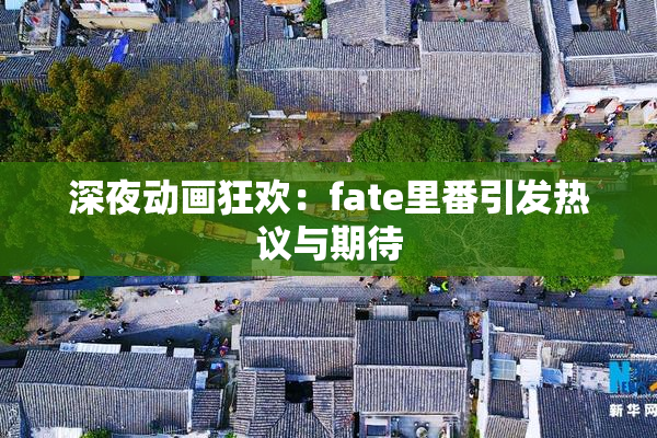 深夜动画狂欢：fate里番引发热议与期待