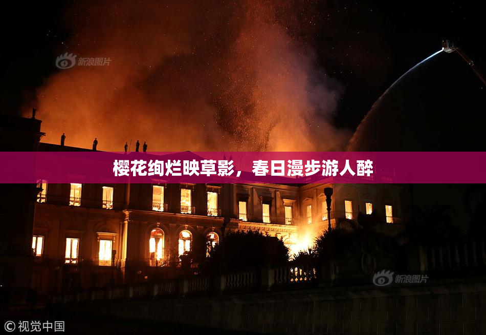 樱花绚烂映草影，春日漫步游人醉