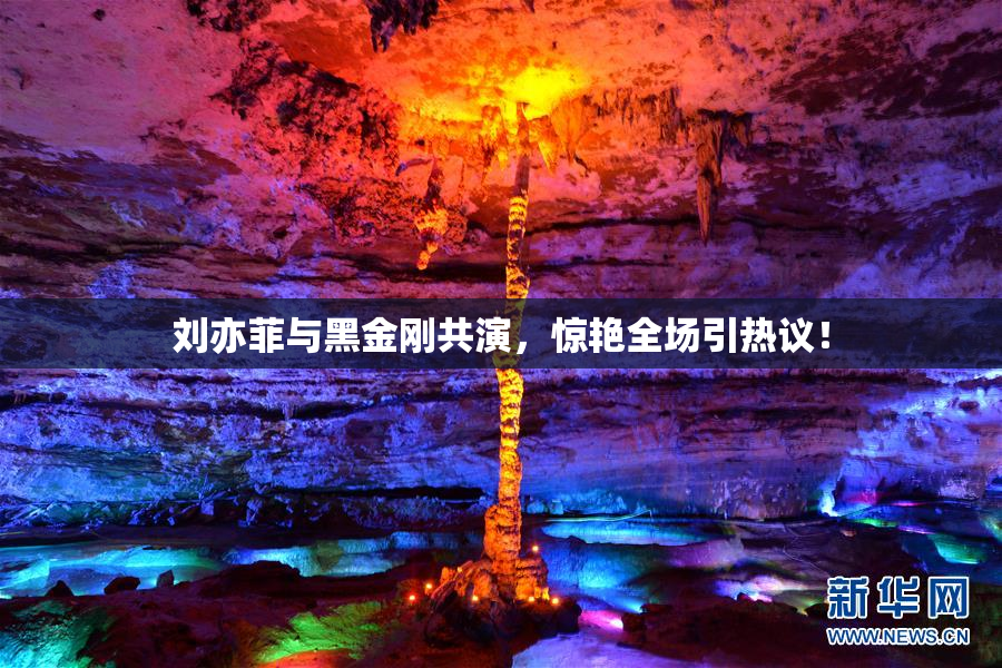 刘亦菲与黑金刚共演，惊艳全场引热议！