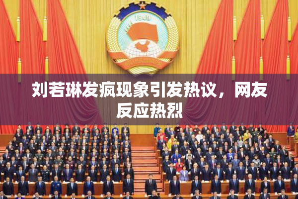 刘若琳发疯现象引发热议，网友反应热烈