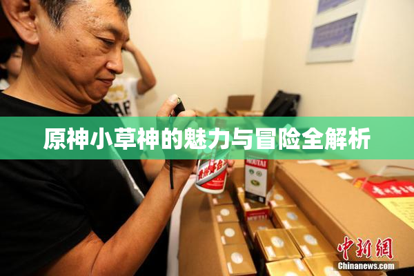 原神小草神的魅力与冒险全解析