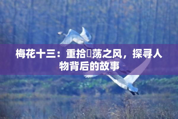 梅花十三：重拾婬荡之风，探寻人物背后的故事
