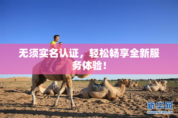 无须实名认证，轻松畅享全新服务体验！