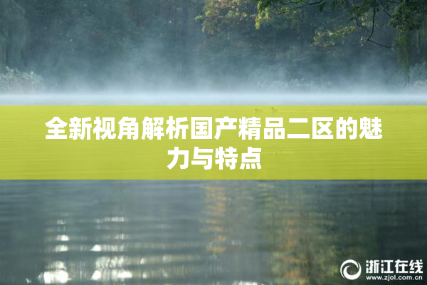 全新视角解析国产精品二区的魅力与特点