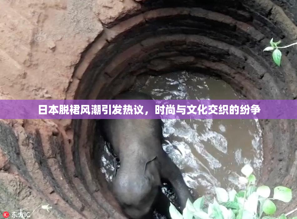 日本脱裙风潮引发热议，时尚与文化交织的纷争
