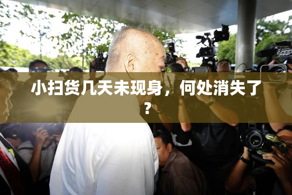 小扫货几天未现身，何处消失了？