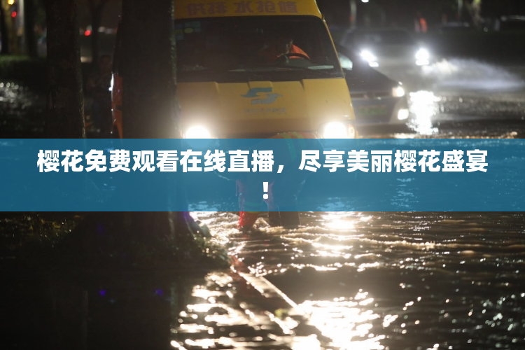 樱花免费观看在线直播，尽享美丽樱花盛宴！