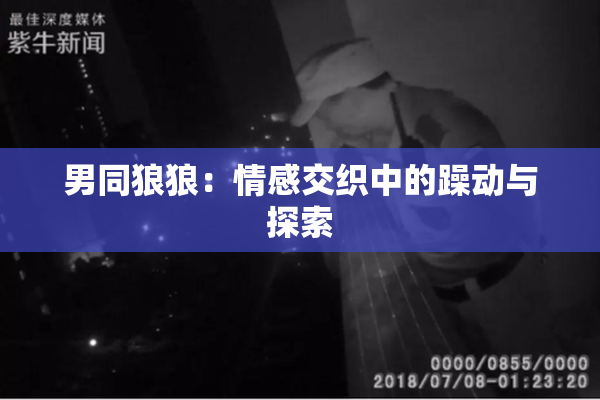 男同狼狼：情感交织中的躁动与探索