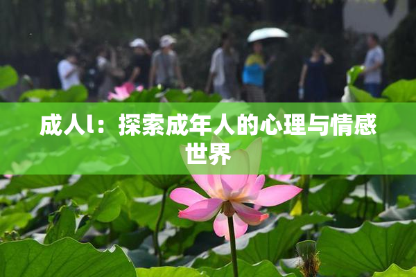 成人l：探索成年人的心理与情感世界