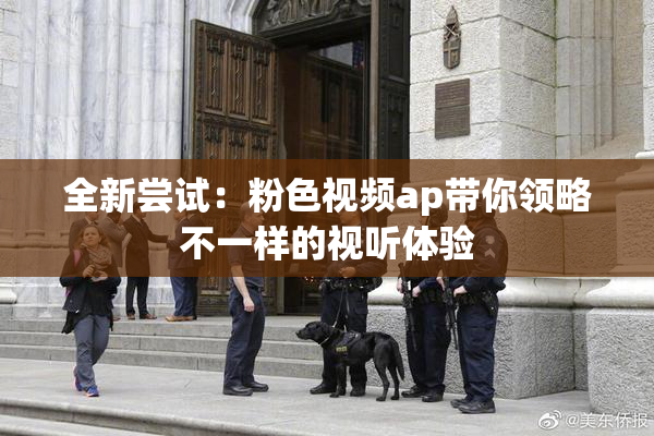 全新尝试：粉色视频ap带你领略不一样的视听体验