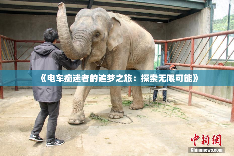 《电车痴迷者的追梦之旅：探索无限可能》