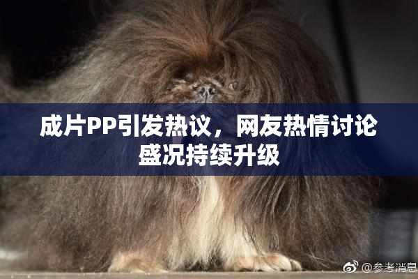 成片PP引发热议，网友热情讨论盛况持续升级
