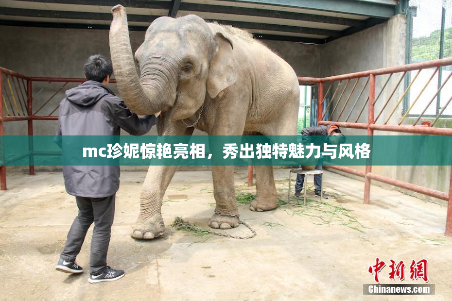 mc珍妮惊艳亮相，秀出独特魅力与风格