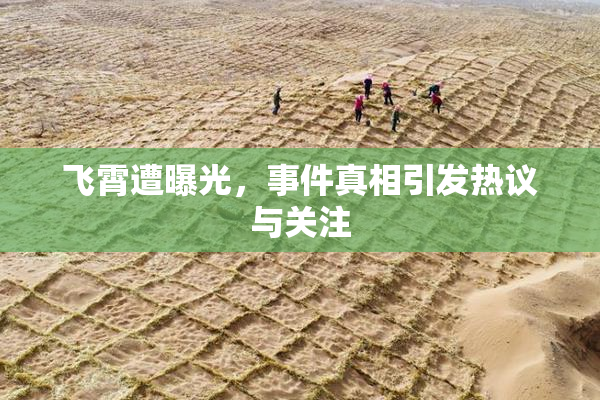 飞霄遭曝光，事件真相引发热议与关注