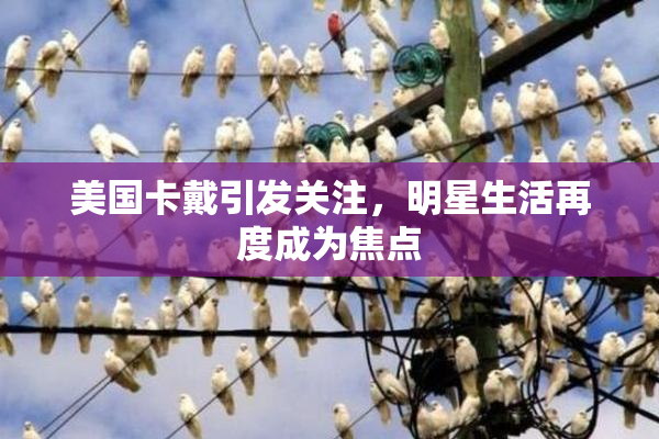美国卡戴引发关注，明星生活再度成为焦点