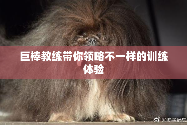 巨棒教练带你领略不一样的训练体验