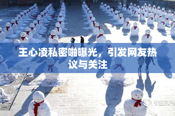 王心凌私密啪曝光，引发网友热议与关注