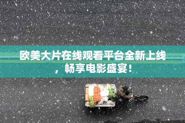 欧美大片在线观看平台全新上线，畅享电影盛宴！