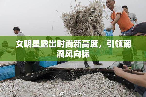 女明星露出时尚新高度，引领潮流风向标