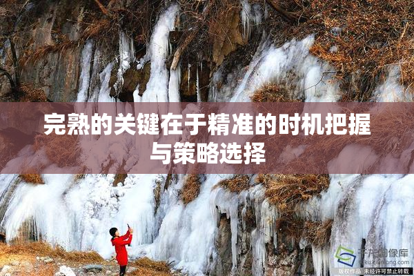 完熟的关键在于精准的时机把握与策略选择