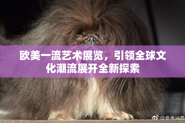欧美一流艺术展览，引领全球文化潮流展开全新探索